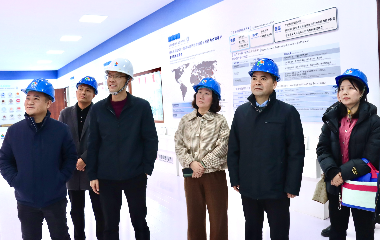 陽光電源股份、宜賓智能制造行業(yè)協(xié)會、宜賓安徽商會調(diào)研遠東電纜（宜賓）